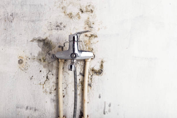 Best Mold Remediation for Specific Building Types in Shell Ridge, CA