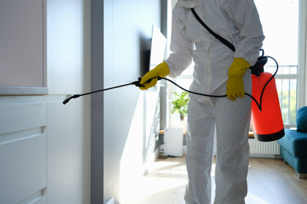 Best Health and Safety Mold Remediation in Shell Ridge, CA